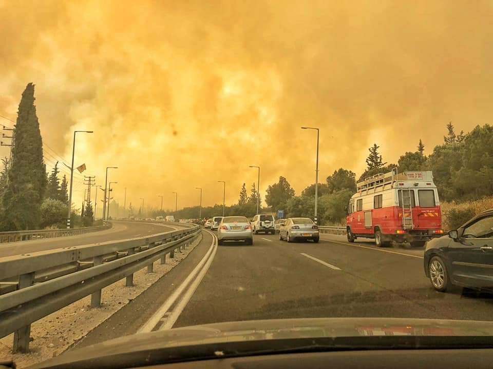 ×©×¨×�×¤×�×ª